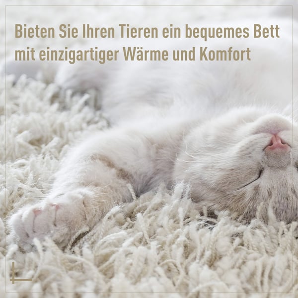 Katteseng, Rattan, 56x35 cm, Beige