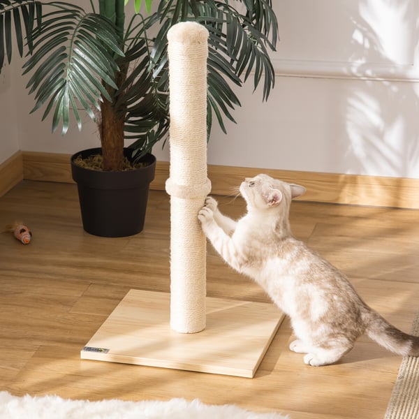 Kradsetræ til kat, 34x34x60 cm, Beige