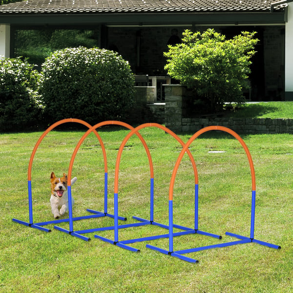 Koiran agilityharjoittelusetti, 88x64x95 cm, sininen