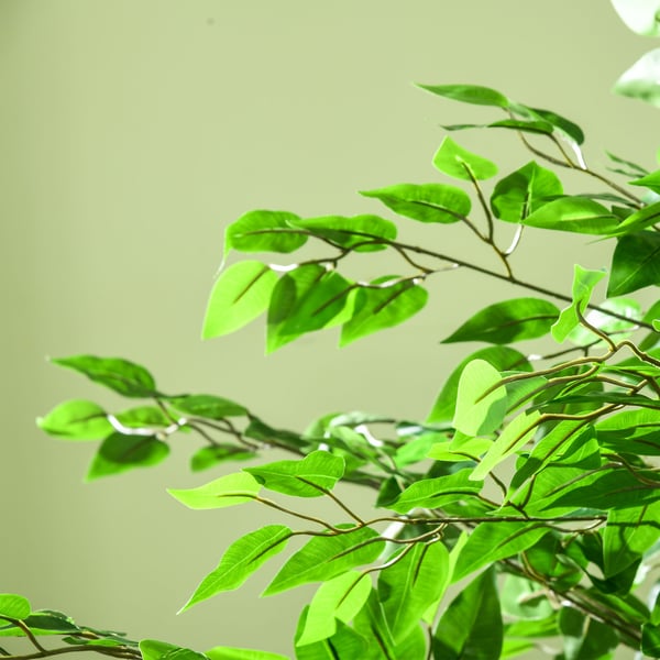 Konstgjord Ficus Träd 180 cm Grön, plast