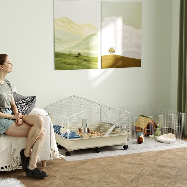 Lille kæledyrsburet med legerum, 173x88x63 cm, hvid