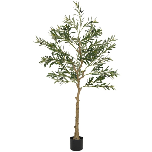 Tekokasvi, Oliivipuu, 150 cm, Vihreä
