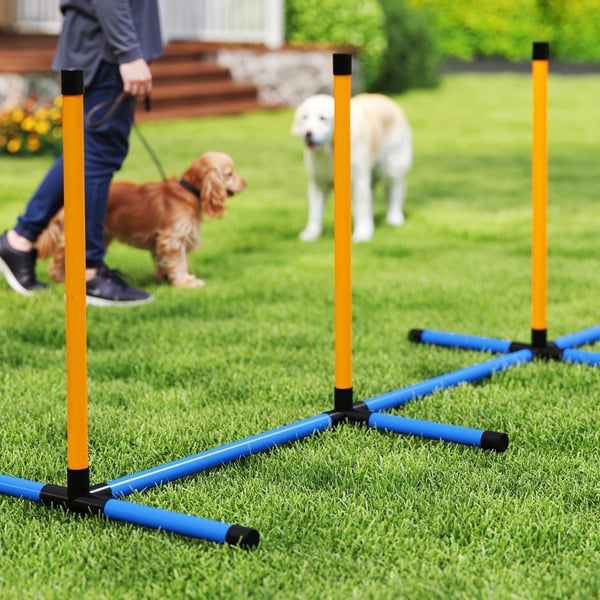 Agility Set, 348x93x92 cm, Sininen ja Oranssi