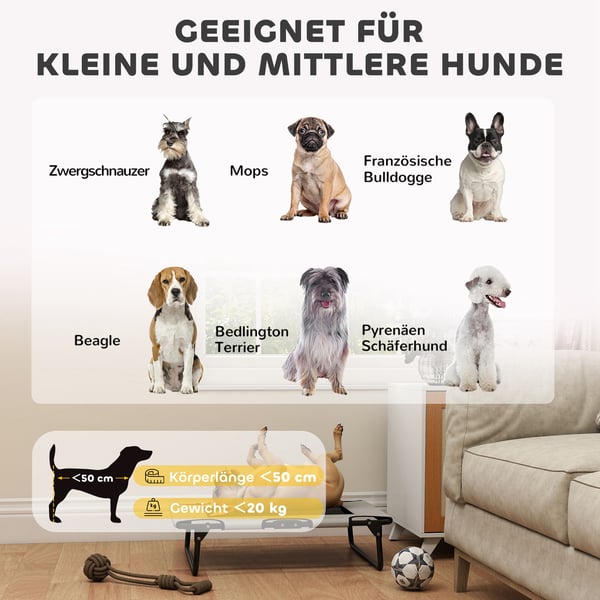 Hævet Hundeseng, 75x51x18 cm, Lys Grå