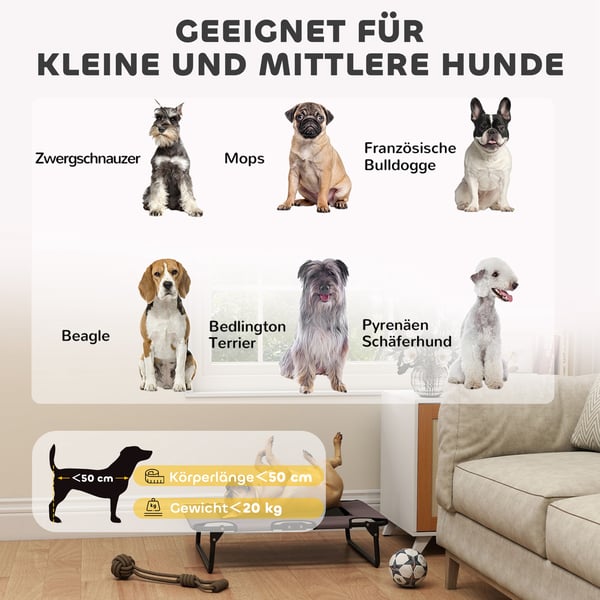 Hævet Hundeseng, 75x51x18 cm, Brun