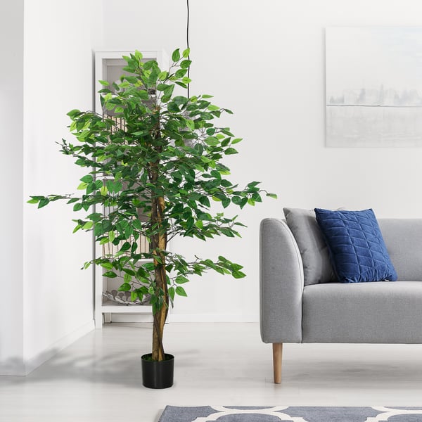 Kunstig Ficus Træ, 150 cm, Grøn