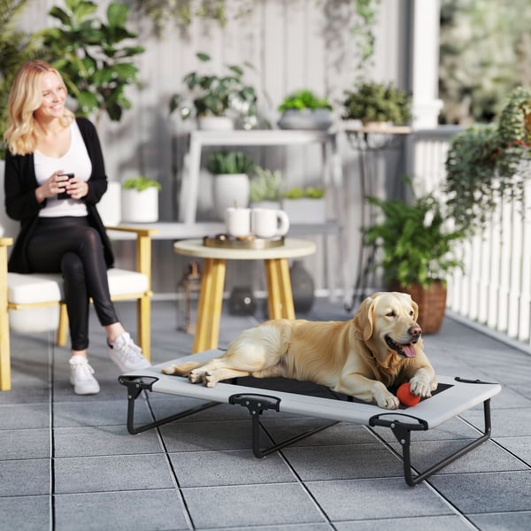 Hævet Hundeseng, 107x61x20 cm, Grå