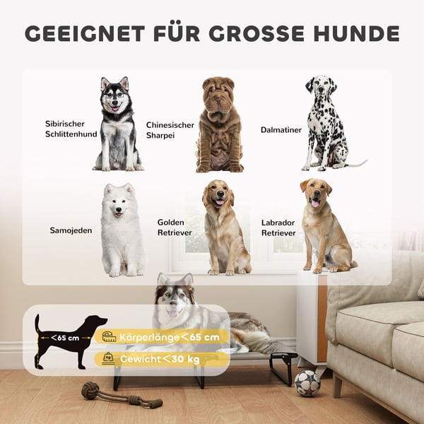 Hævet Hundeseng, 107x61x20 cm, Grå