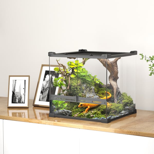 Glasterrarium, 30x30x30 cm, Sort