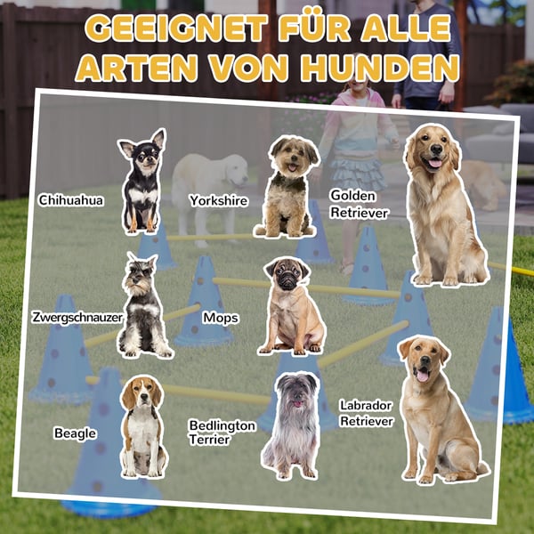 Agilitysæt til hunde, 80x22,5x30 cm, Blå, Plast