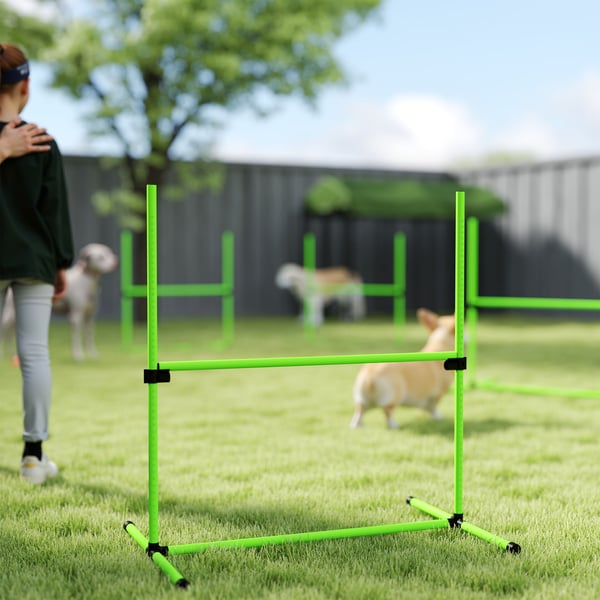 Agilitysæt, 4-delt justerbart hundeagilityudstyr, 99x65x94 cm, grøn, plast