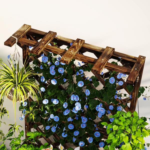 Upphöjd planteringslåda med spaljé, 64x33x122 cm, Svartbetsad, Trä