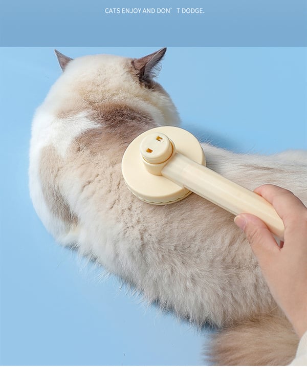 Itsepuhdistuva lemmikkien hiusharja Beige
