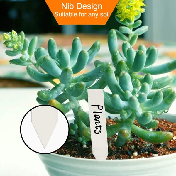 Planteetiketter / planteskilt for enkel planteidentifikasjon - 100-pakning White 10x2 cm
