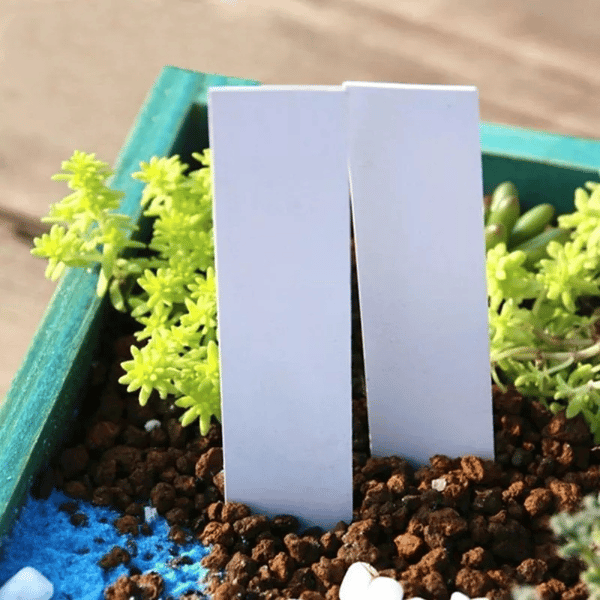 Planteetiketter / planteskilt for enkel planteidentifikasjon - 100-pakning White 10x2 cm