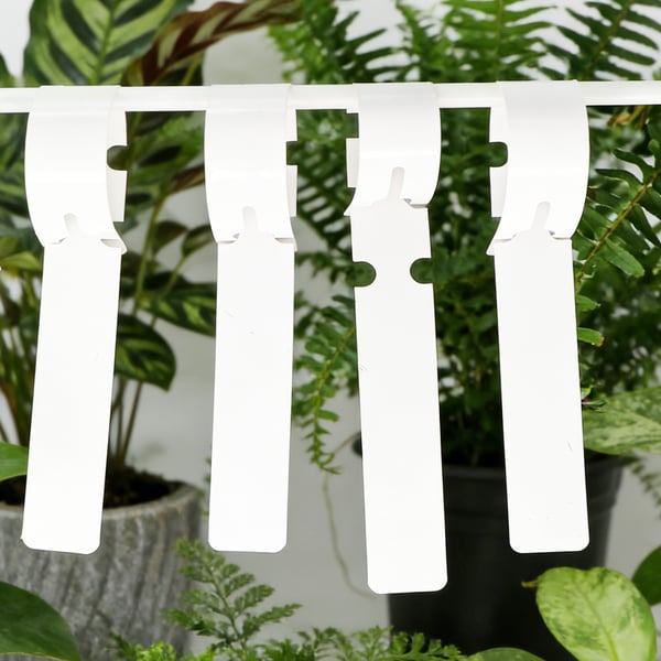 Kasvien etiketit 100 kpl White