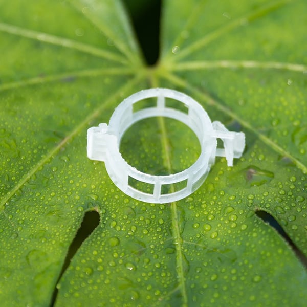 Klips for å støtte planter / espalier 100-pakning Transparent