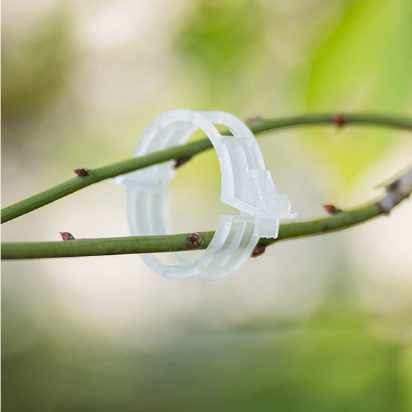 Klips for å støtte planter / espalier 100-pakning Transparent
