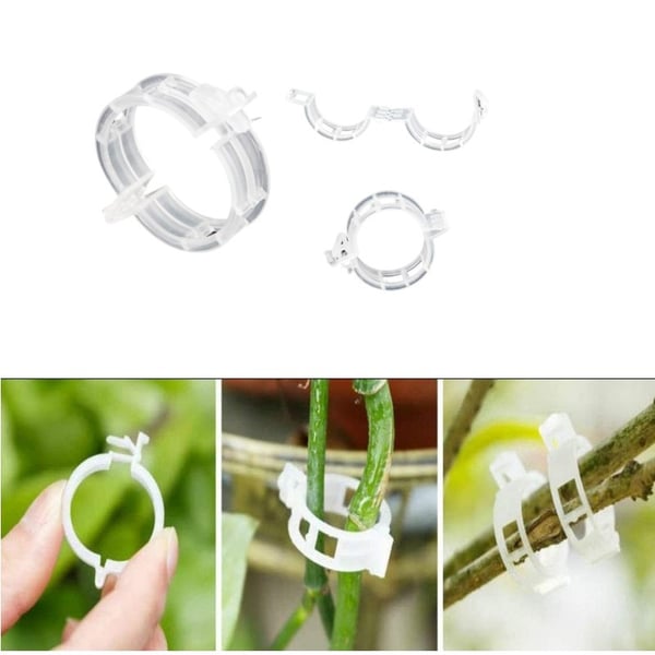 Klips for å støtte planter / espalier 100-pakning Transparent