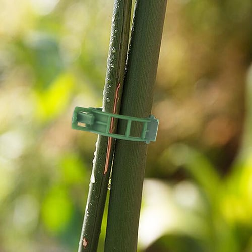 Klips for å støtte planter / espalier 100-pakning Green