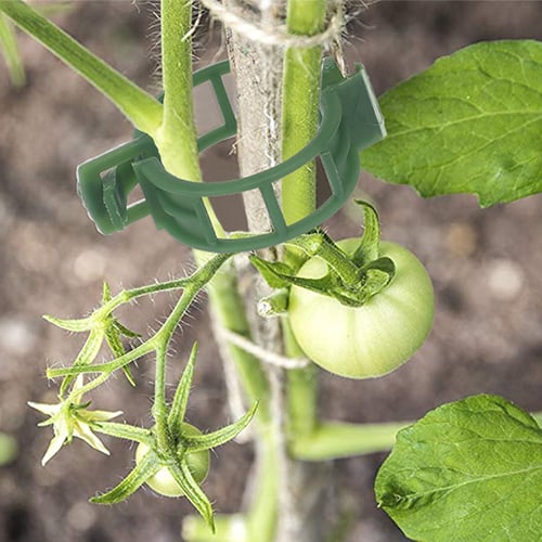 Klips for å støtte planter / espalier 100-pakning Green