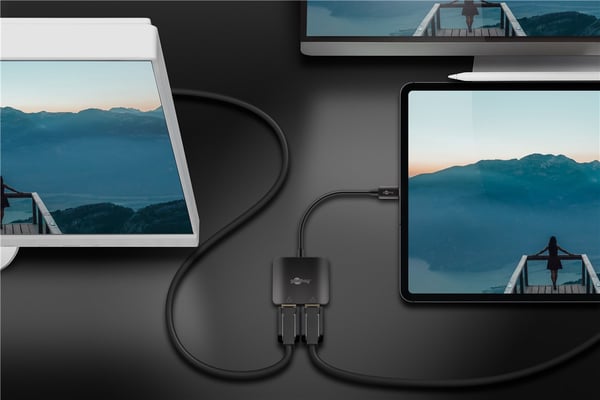 USB-C™-adapter til 2x DisplayPort