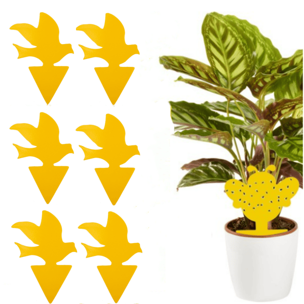 Klistrefelle for skadedyr på potteplanter 100-pak Yellow
