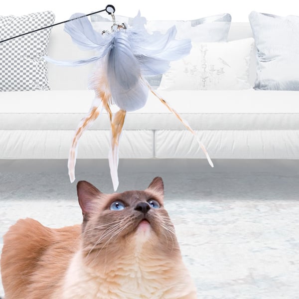 Sugkopp Design Fast Cat Teaser Grey