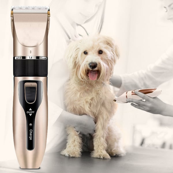 Stillegående pelstrimmer for hund, med tilbehør Champagne