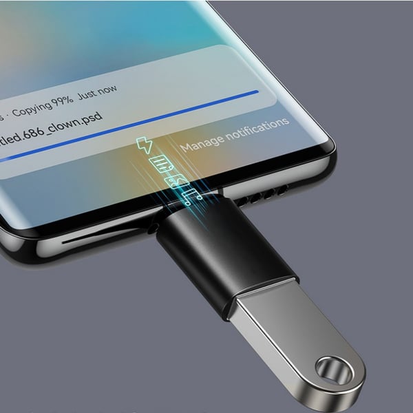 USB C til USB 3.1 adapter i aluminiumslegering Silver