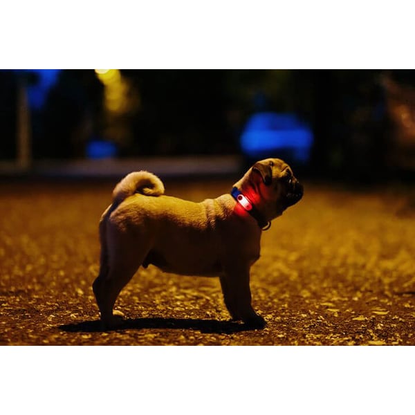 Fästingskydd Mini Hund
