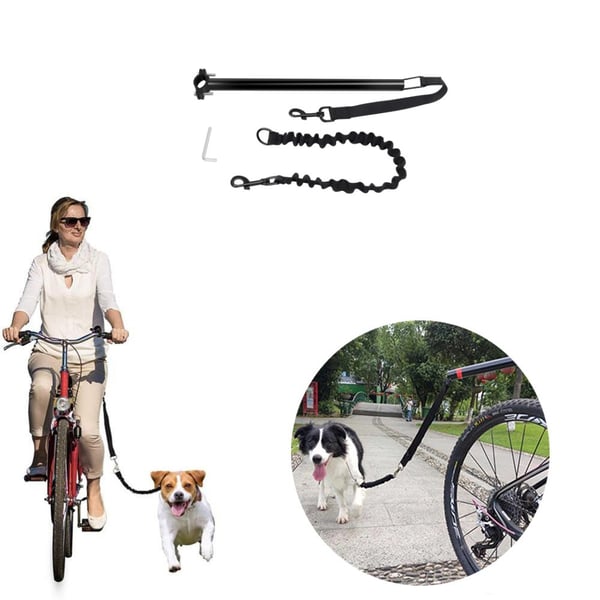 Sykkel hundebånd for utendørs trening med hund