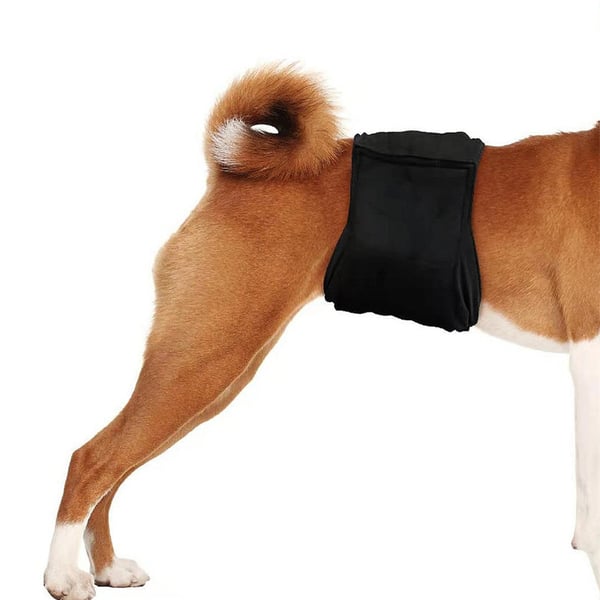 Behagelig og vaskbar hundeble Black XS