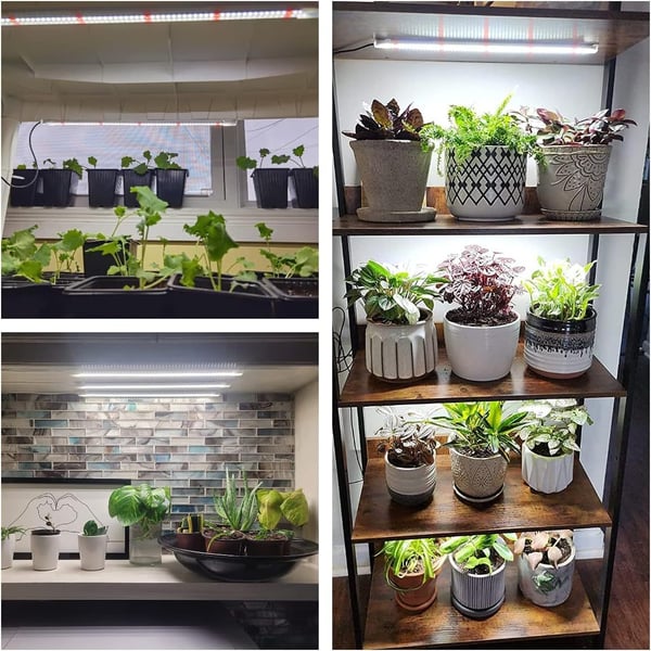 Plantebelysning for innendørs planter, med fullt spekter og tidskontroll White