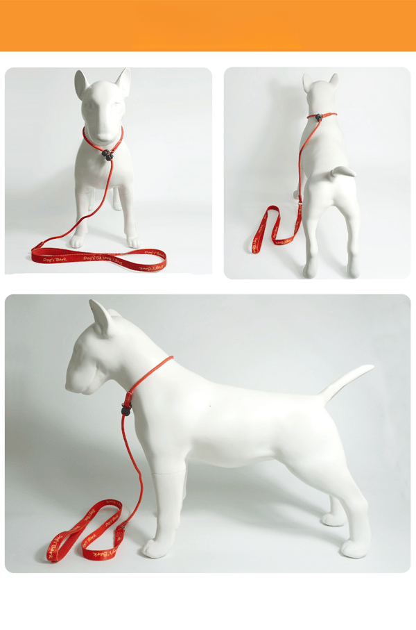 Hundetreningsbånd, hundebånd, dyrebånd Black M