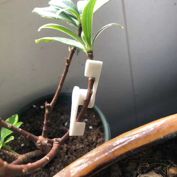 360 graders justerbare plantetreningsklemmer White