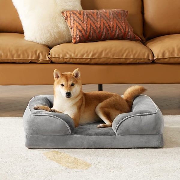 Pet Sovesofa Hundeseng til mellemstore hunde Grey