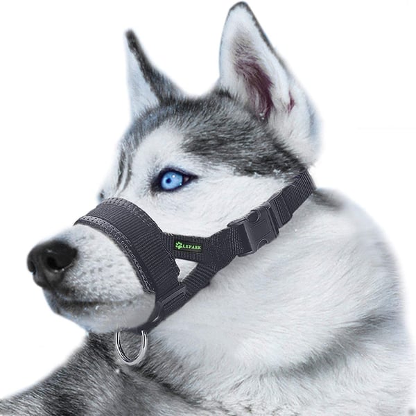 Næseparti til hunde L