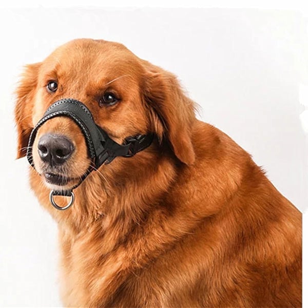 Næseparti til hunde L