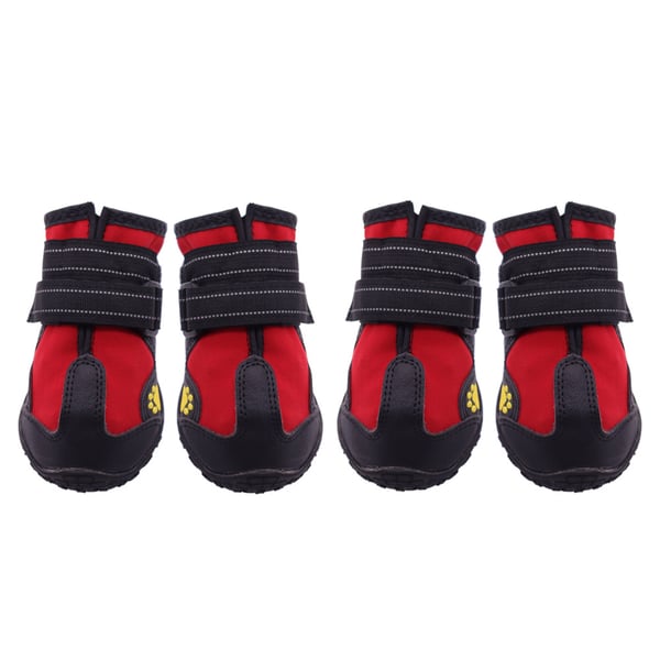 Husdjursskor - Röda 4-pack B