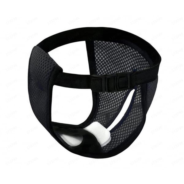Lemmikkieläinten turvahousut Black L