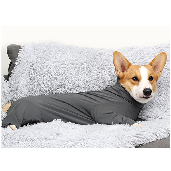 Heldragt til hunde - justerbart design XL