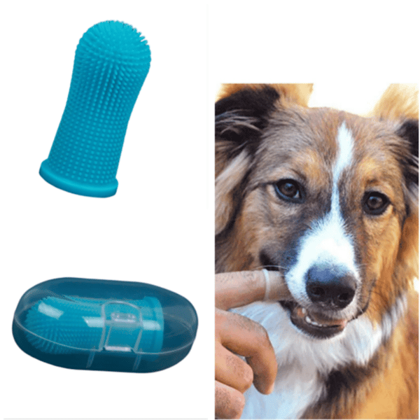 Sormiharja lemmikeille - silikoninen hammasharja koirille ja kissoille Blue Sormiharja lemmikeille - silikoninen hammasharja koirille ja kissoille Blue
