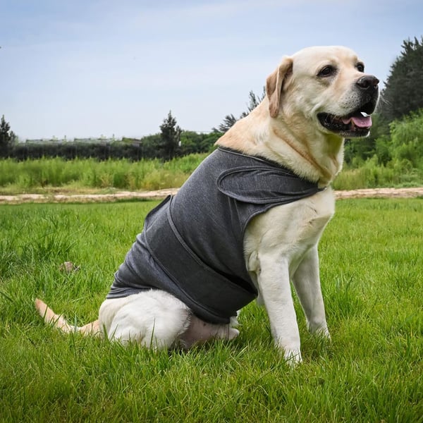 Beroligende vest til hunde, anti-angst vest til hunde XS