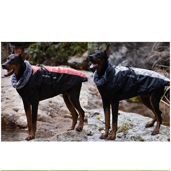 Klassisk grå hund vinterkappa 5XL