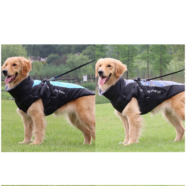 Klassisk grå hund vinterkappa 5XL