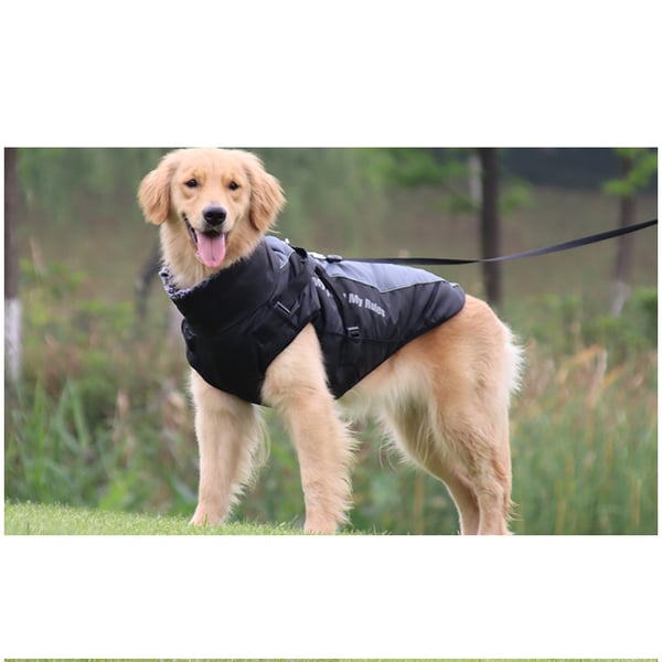 Klassisk grå hund vinterkappa 5XL