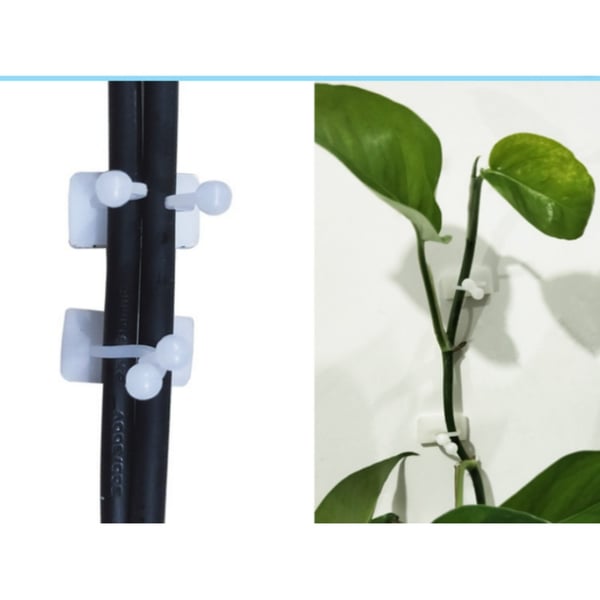 10-pakning store rankeclips for plantestøtte M