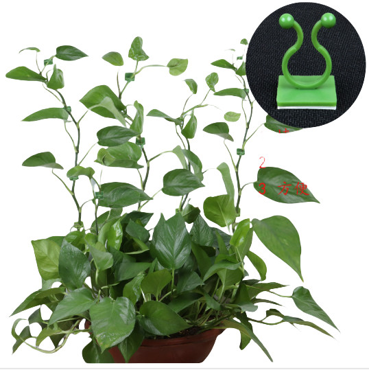 10-pakning små rankeclips for planter, selvklebende veggranke-klips M