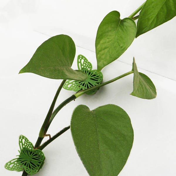 10-pakning plantesøtteklips, selvklebende spenner for klatreplanter
